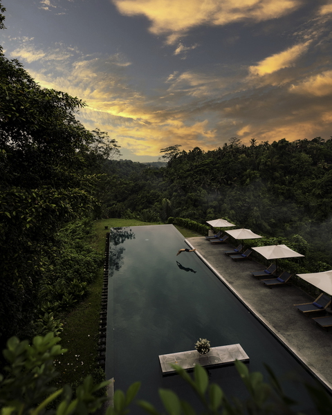 Alila Ubud Daypass Image
