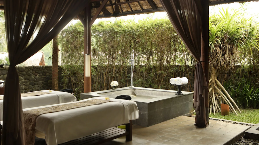 Alila Ubud Daypass Image