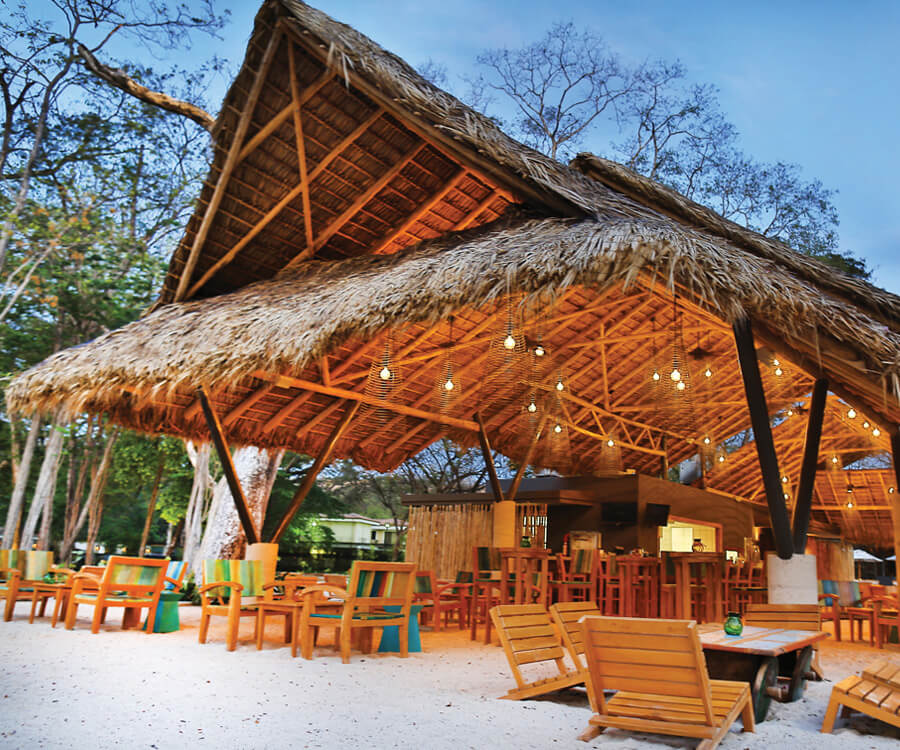 Colección de autógrafos El Mangroove Daypass elemento Imagen