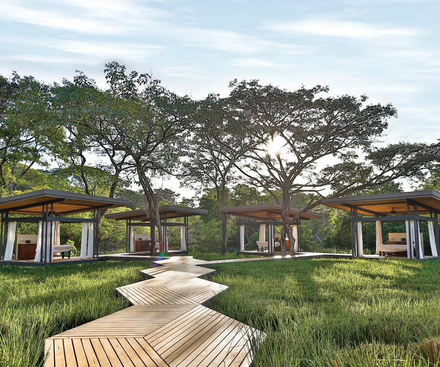 Colección de autógrafos El Mangroove Daypass elemento Imagen