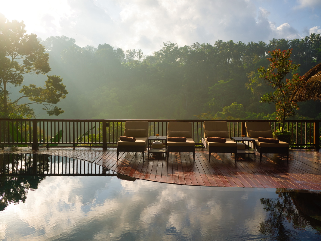 Nandini Jungle by Hanging Gardens Daypass Image