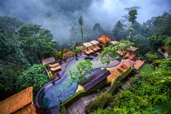 Nandini Jungle by Hanging Gardens Image