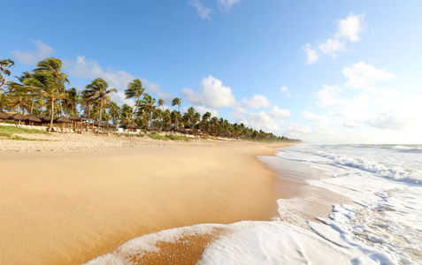 Grand Palladium Imbassai Resort and Spa Daypass Image