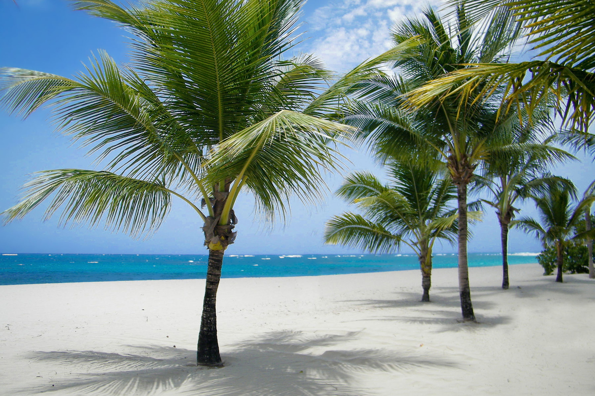 Viva Wyndham V Heavens Image