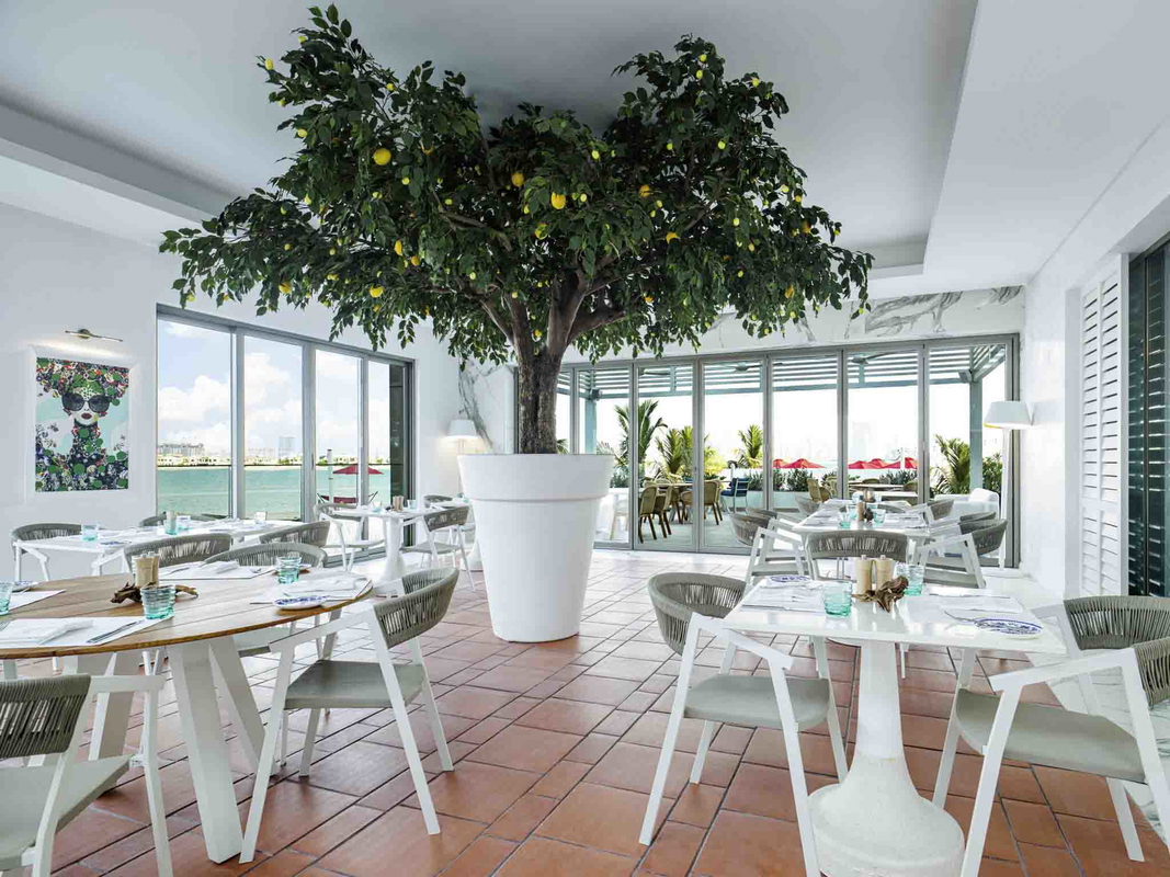 Fluid Beach Club at Th8 Palm Image