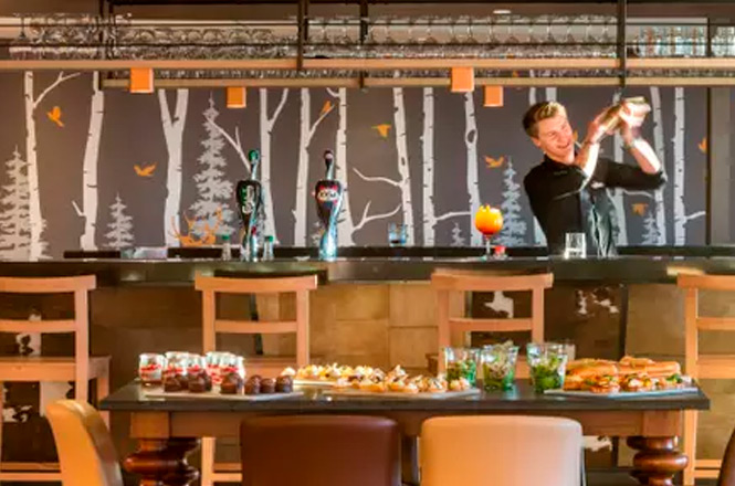 Club Med Arcs Panorama Daypass Image