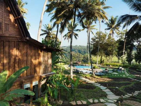 Bambu Indah Image