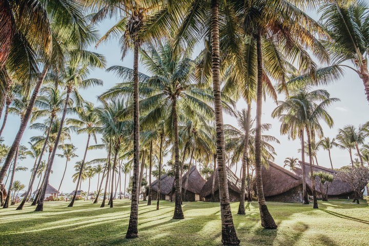 La Pirogue Daypass Image