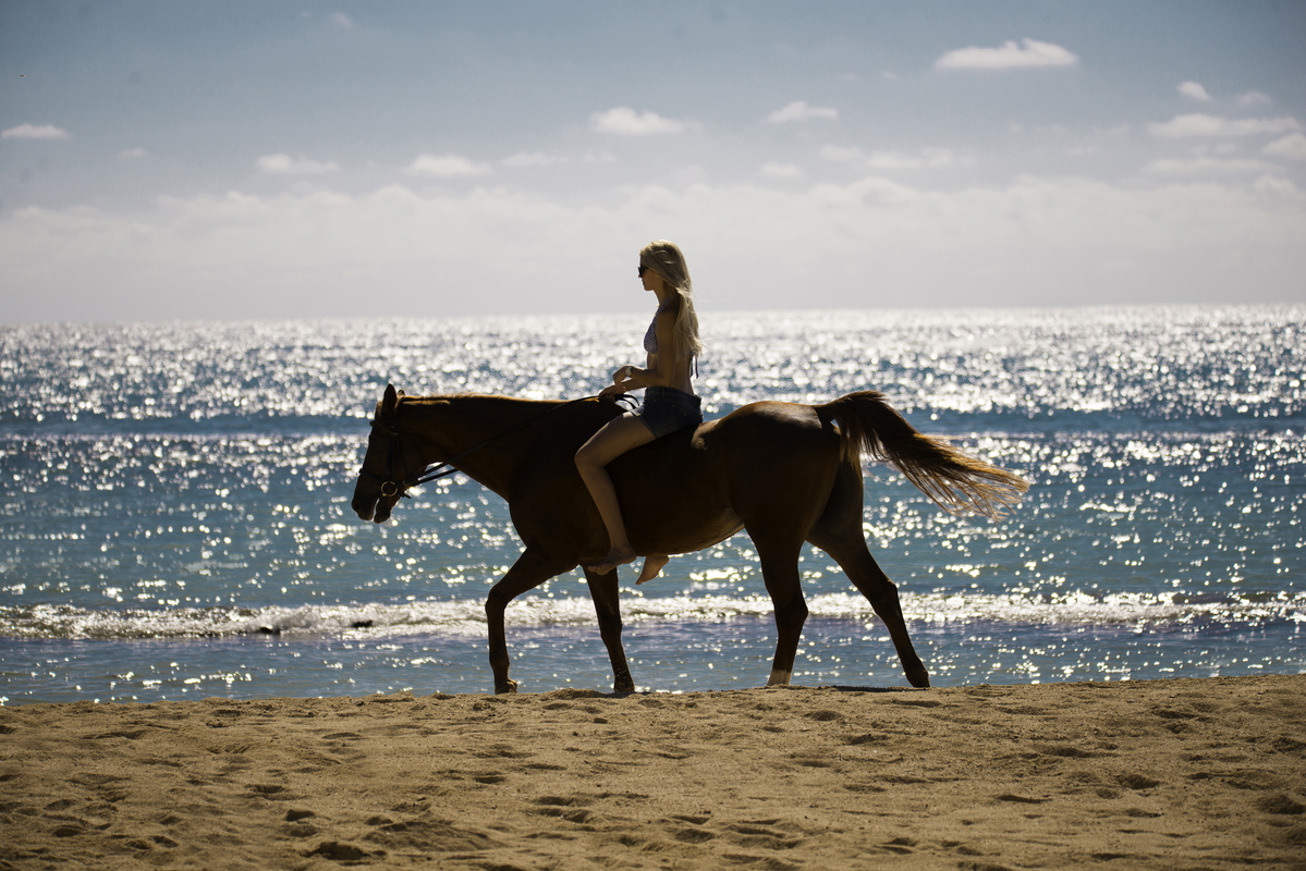 Maritim Resort & Spa Image