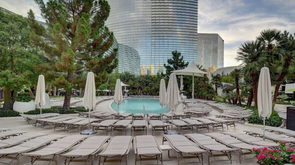 ARIA Daypass Image